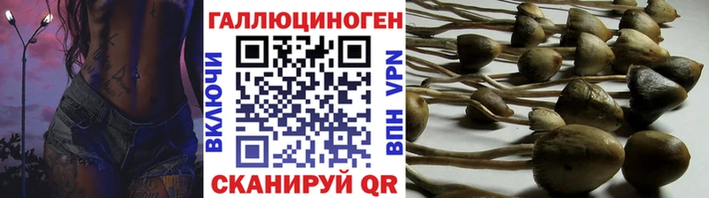 купить закладку  Кондопога  Галлюциногенные грибы мухоморы 