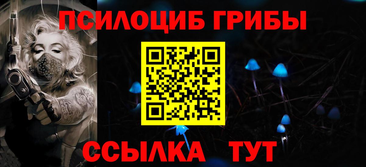 закладка  Вход с VPN  Кондопога  Псилоцибиновые грибы Magic Shrooms 